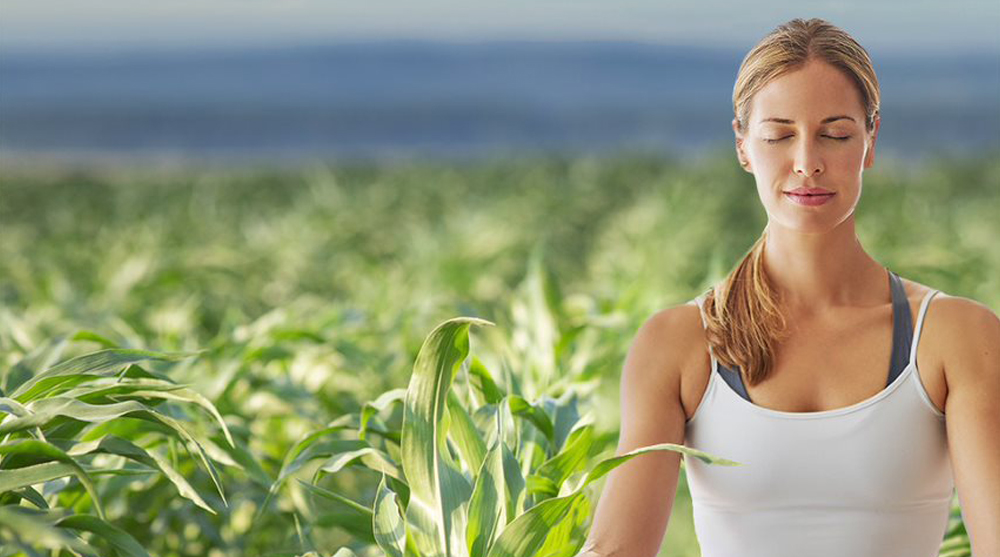 Stress in maïs beperken?