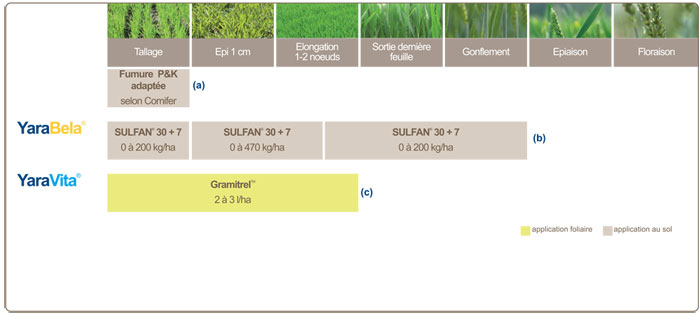 plan de fertilisation