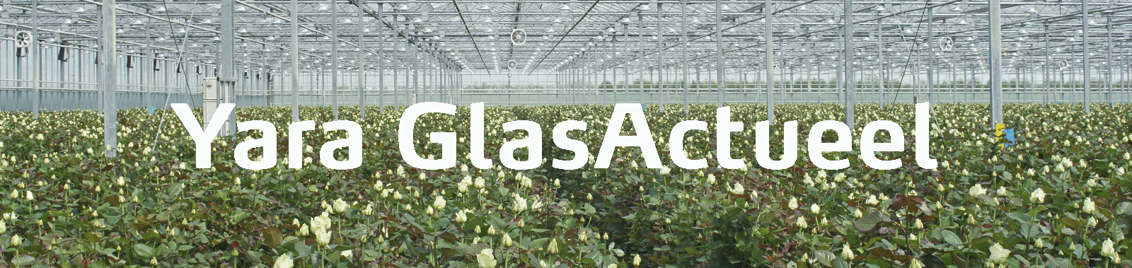 Glastuinbouw Artikelen GlasActueel