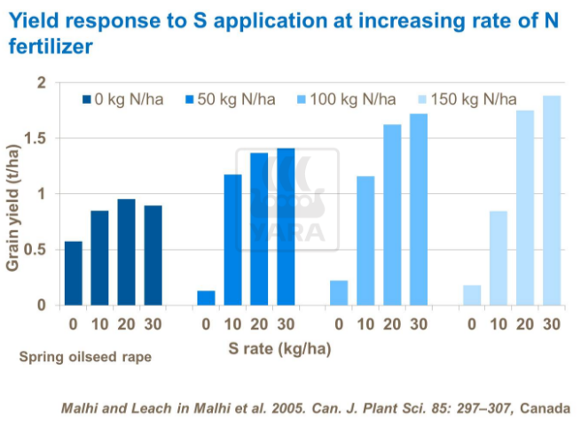 Rendement : r&eacute;ponse &agrave; l'application de soufre &agrave; un taux croissant d'engrais azot&eacute;