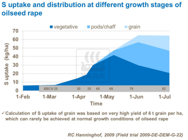 Absorption et distribution du soufre &agrave; diff&eacute;rents stades de croissance du colza