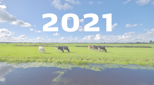 Artikelen overzicht 2021