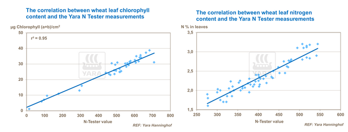Graphique nutrition des cultures et couvert du blé