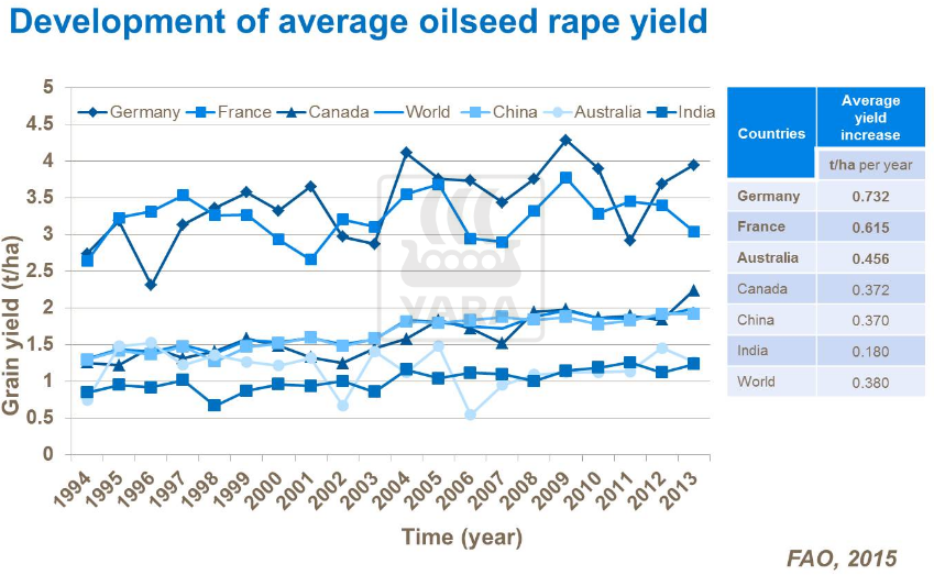 Développement d'un rendement moyen en colza 