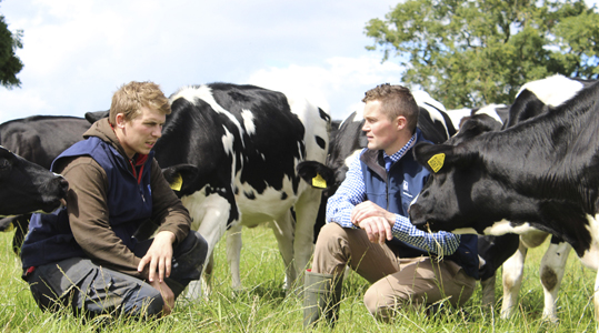 Zwavel loont partial image.jpg