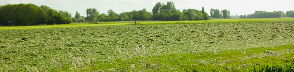 meer gras van eigen land
