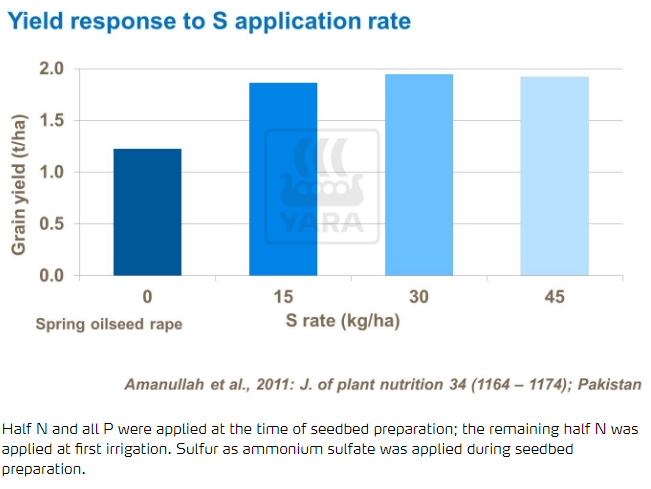 Effet du soufre sur le rendement 