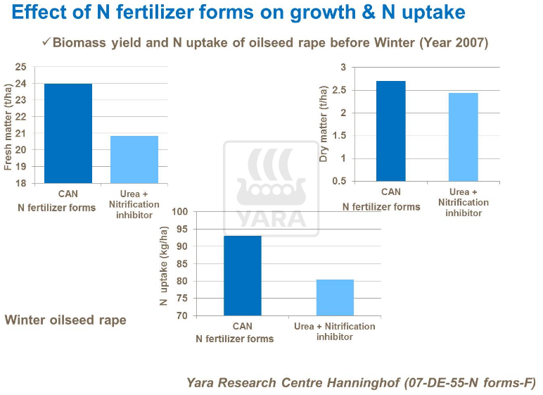 Effet de fertilisant azoté sur la croissance et l'absorption d'azote