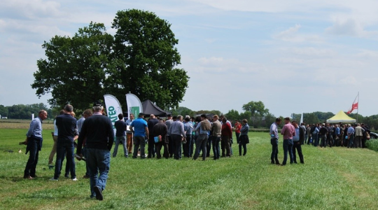 Limagrain grasdemodagen