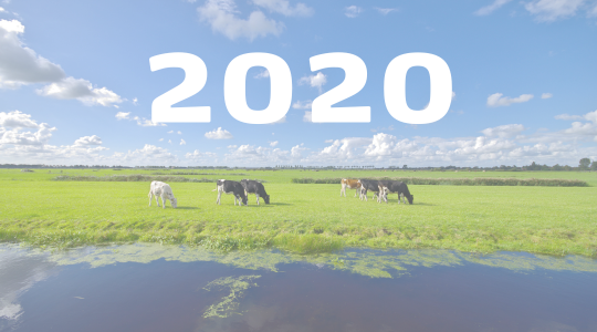 Jaaroverzicht 2020
