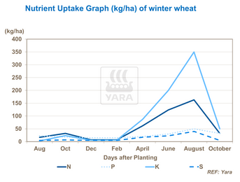 Graphique sur absorbtion des nutriments 
