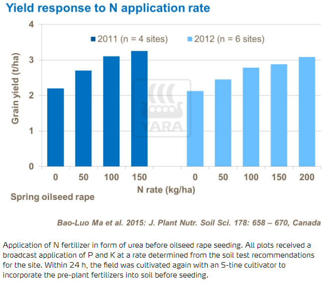 Rendement : réponse au taux d'application d'azote
