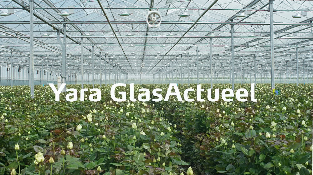 Yara GlasActueel nieuwsbrieven