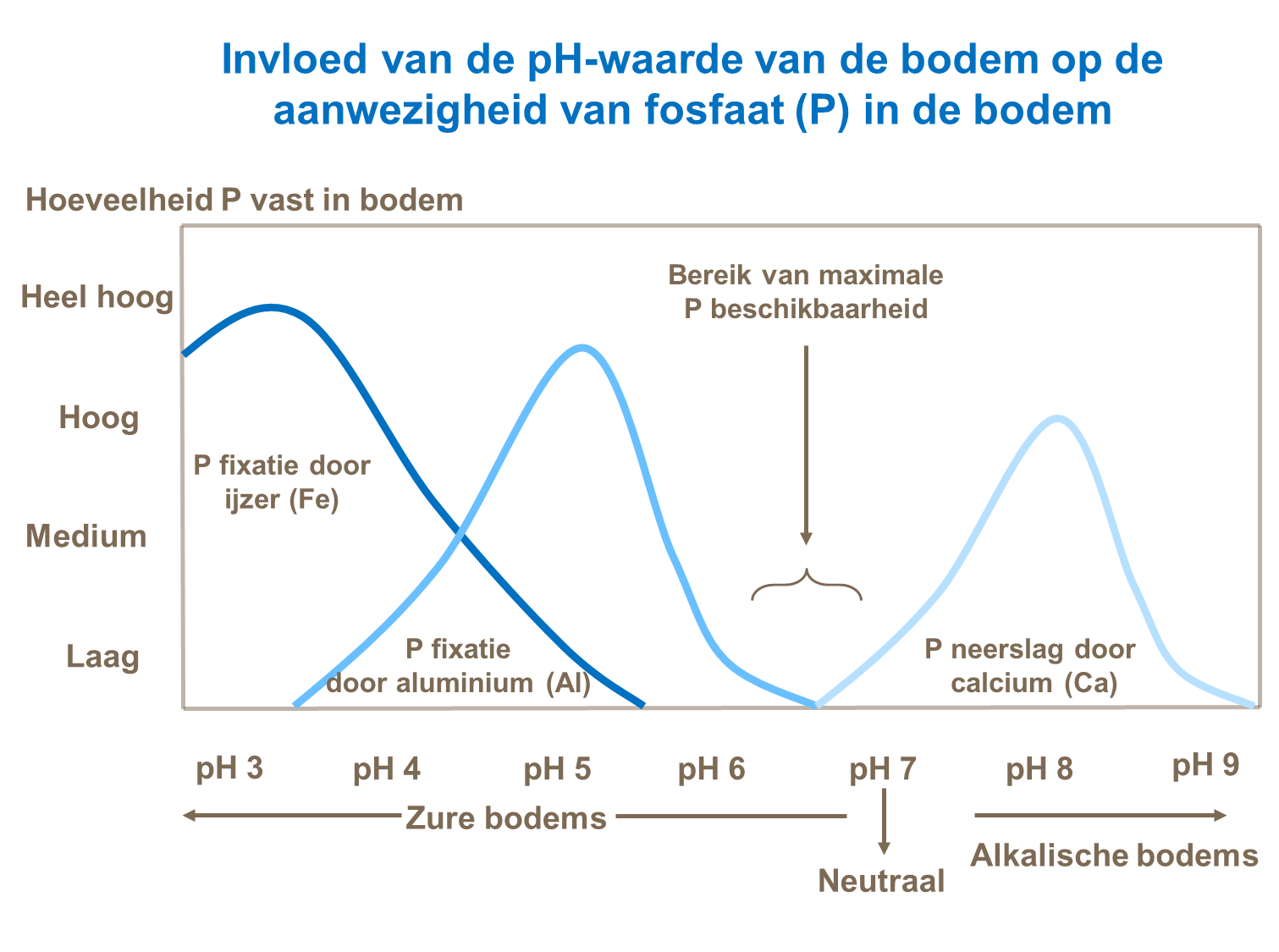 Invloed van bodempH op P beschikbaarheid