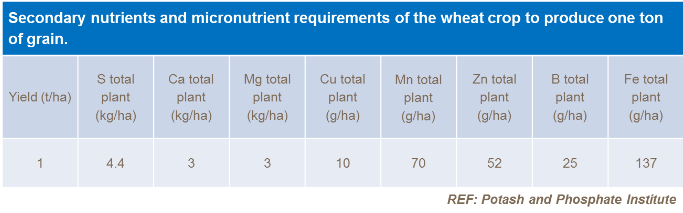 Besoin en nutriments des cultures de blé pour produire une tonne de grain