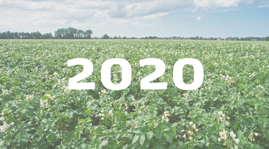 Jaaroverzicht artikelen 202