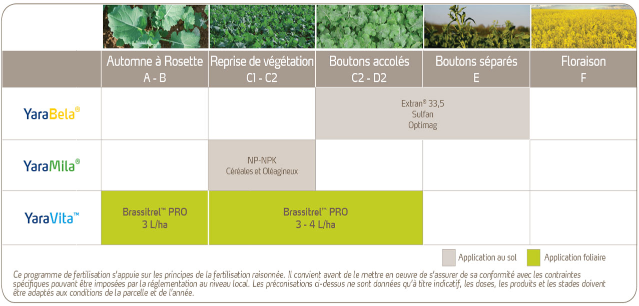 Programme de nutrition du colza&nbsp;- Liquide