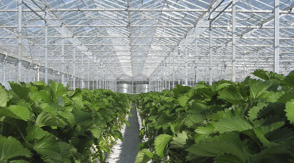 Zorg voor schone mestbakken