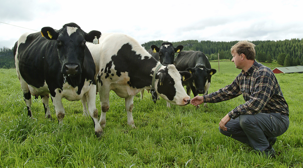Yara vernieuwt de GrassN app in 2020