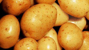 Wereldwijde aardappelproductie