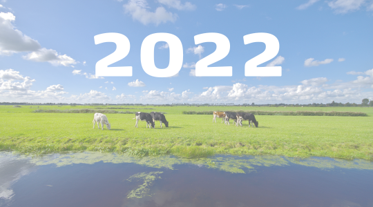 Agronoom bij koe in de stal